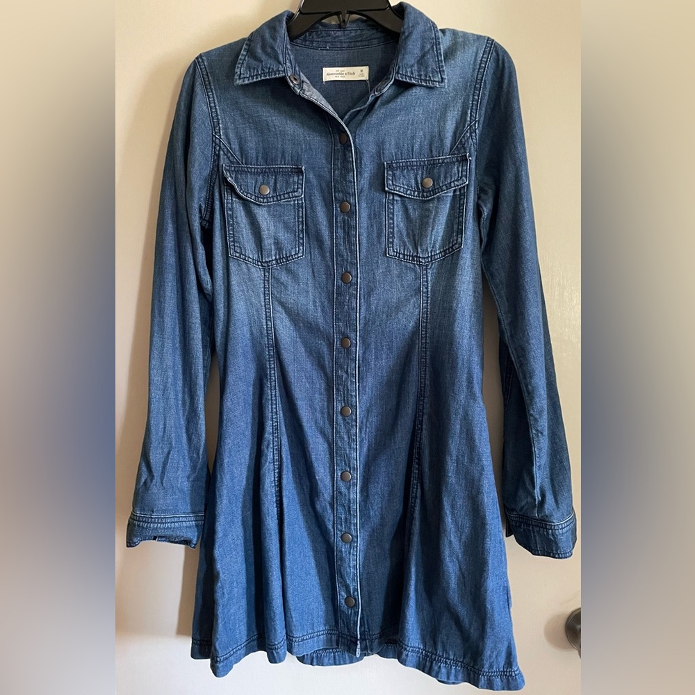 Abercrombie Denim Button-Up Dress